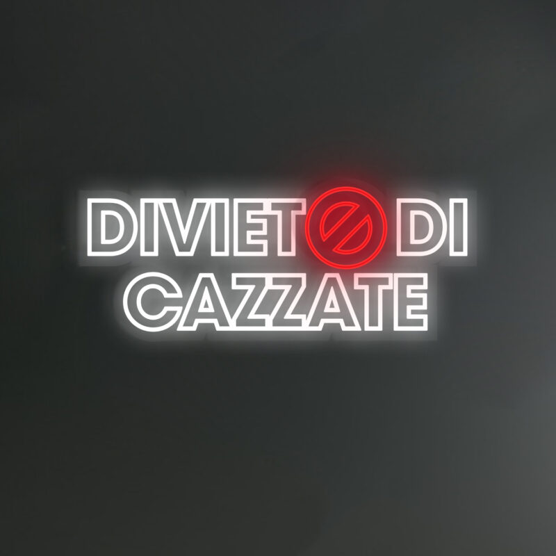 Scritte Led Personalizzate Divieto di Cazzate